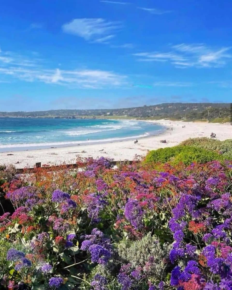 Pacific Grove Pacific Grove
