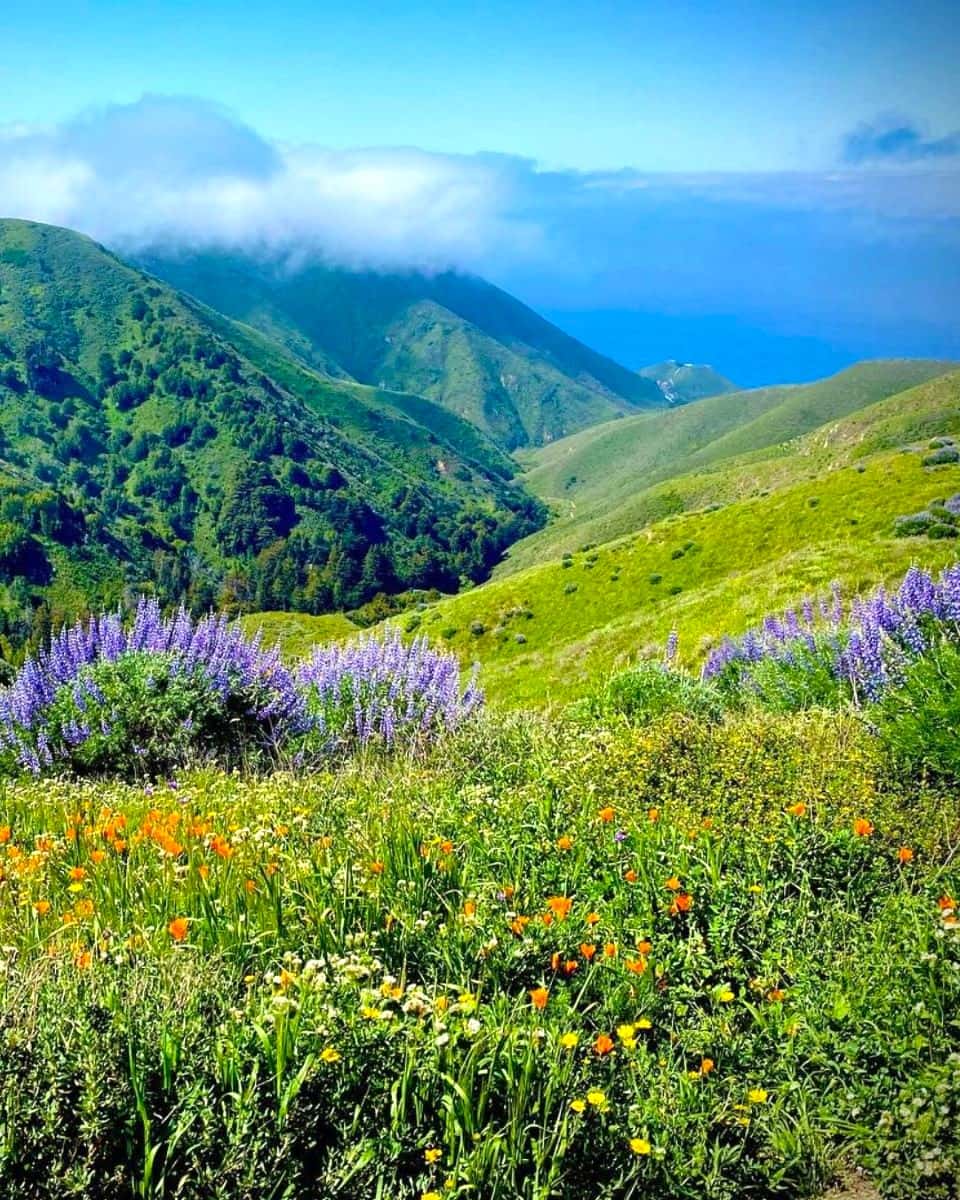 Pacific Grove Pacific Grove