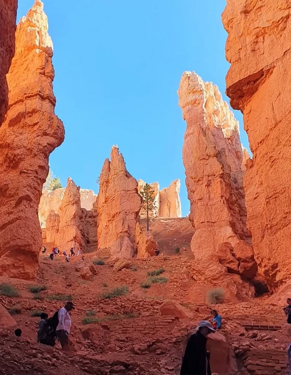 Panamint Springs, Death Valley National Park Panamint Springs, Death Valley National Park