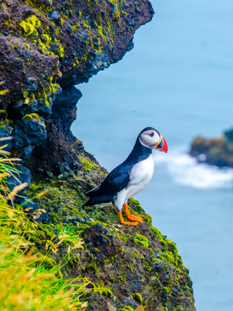 Porkeri, Faroe Islands Porkeri, Faroe Islands