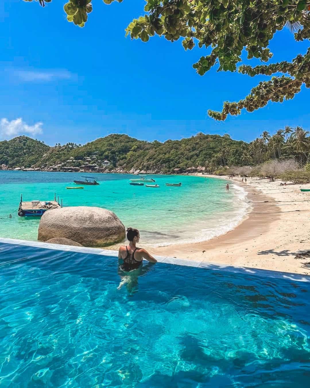 Shark Bay Thailand Shark Bay Thailand