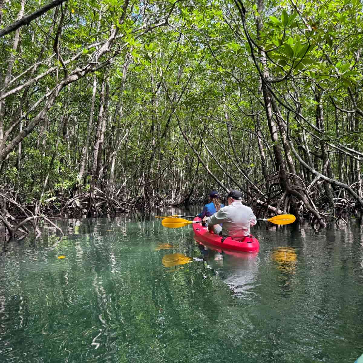 Southern Bacalar Southern Bacalar