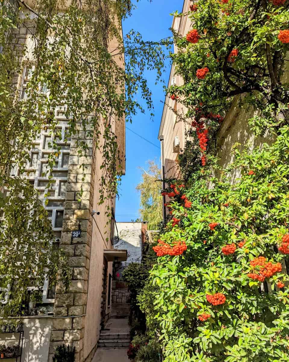 Vračar, Belgrade Vračar, Belgrade