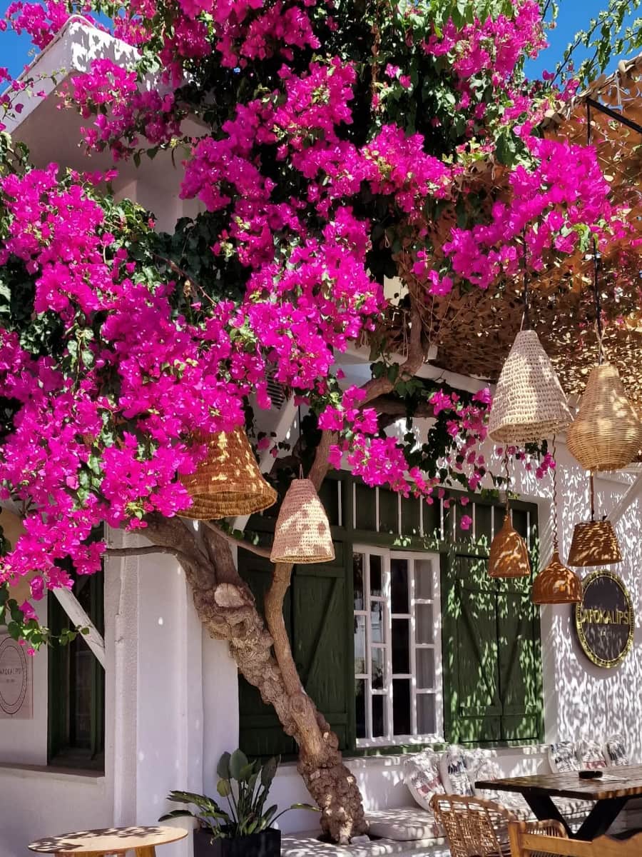 Chora, Kythnos Chora, Kythnos