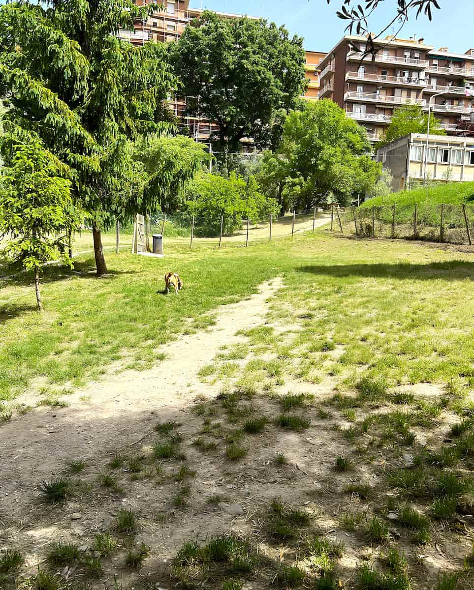 Elce, Perugia Elce, Perugia