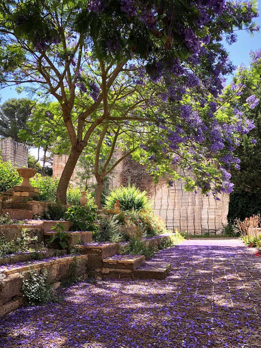 Giardini Ipogei, Favignana Giardini Ipogei, Favignana