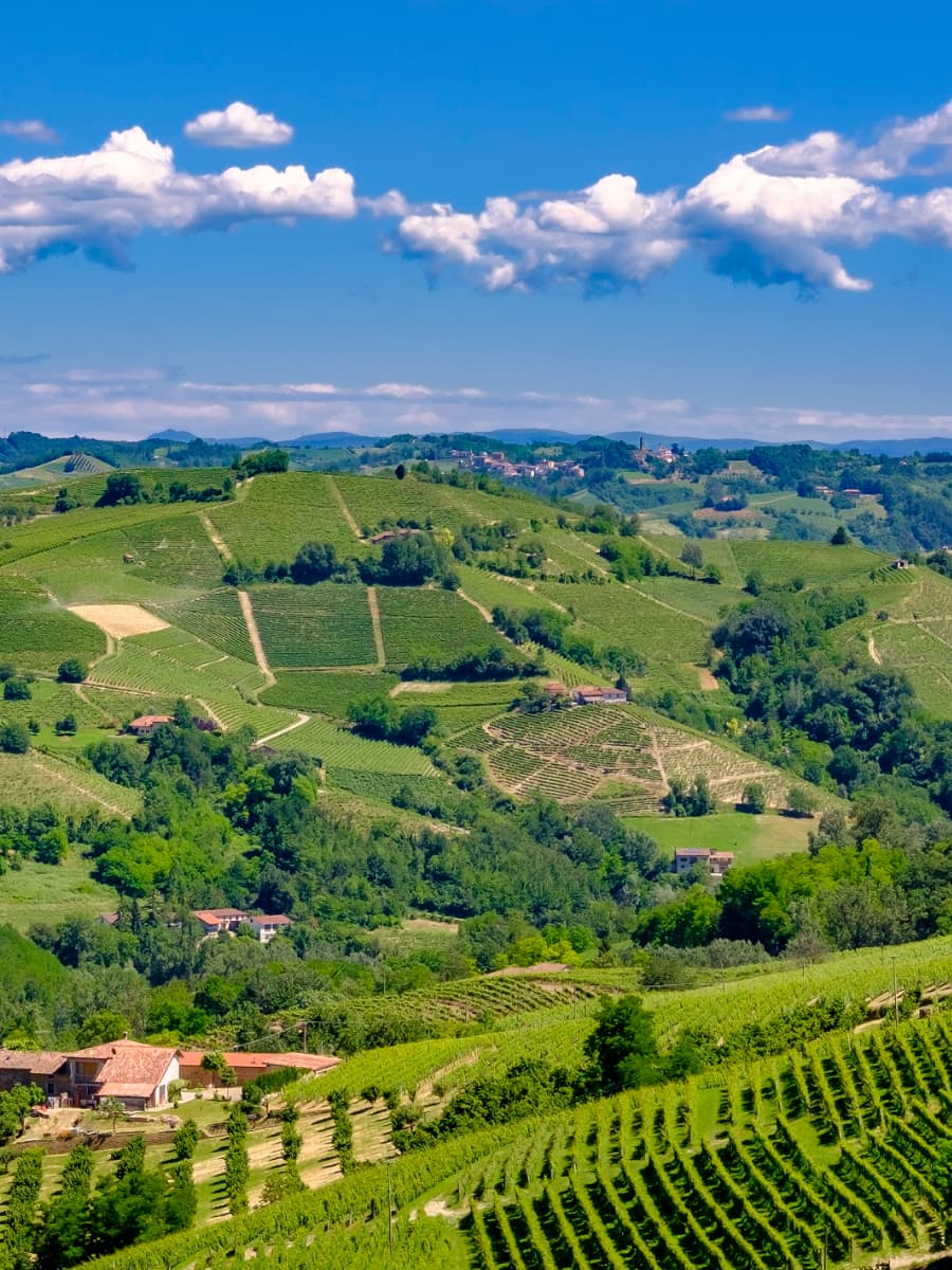 Langhe, Piemonte Langhe, Piemonte