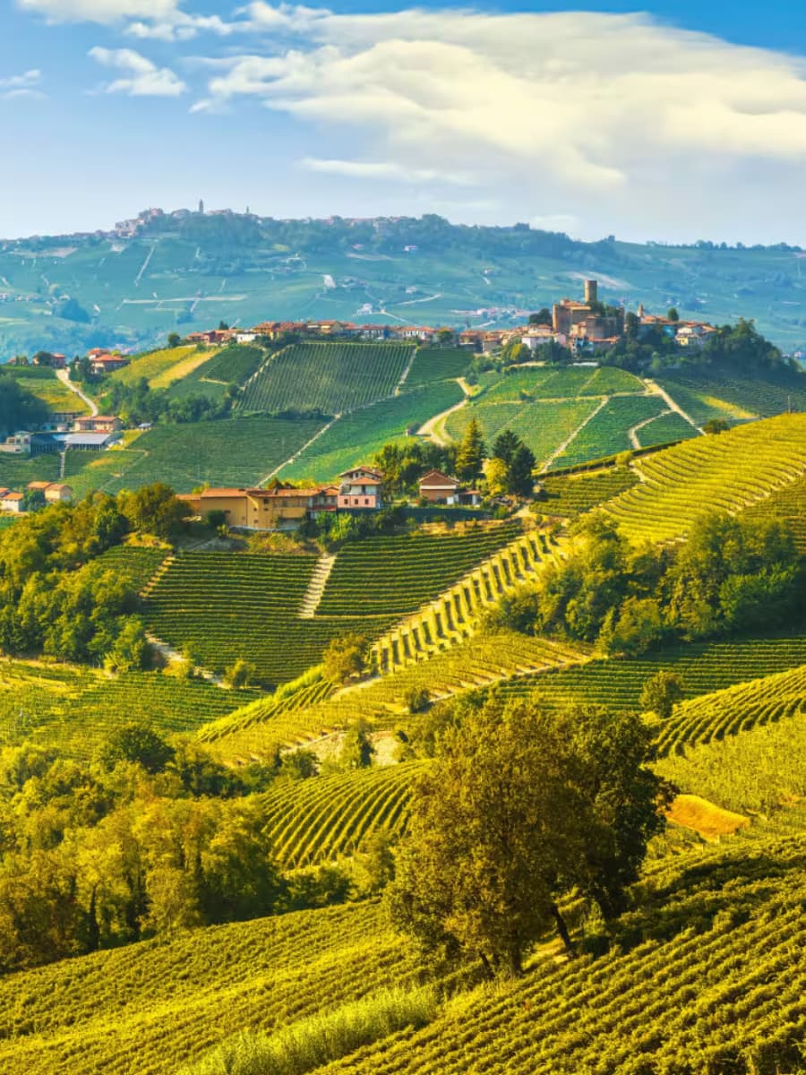Langhe, Piemonte Langhe, Piemonte