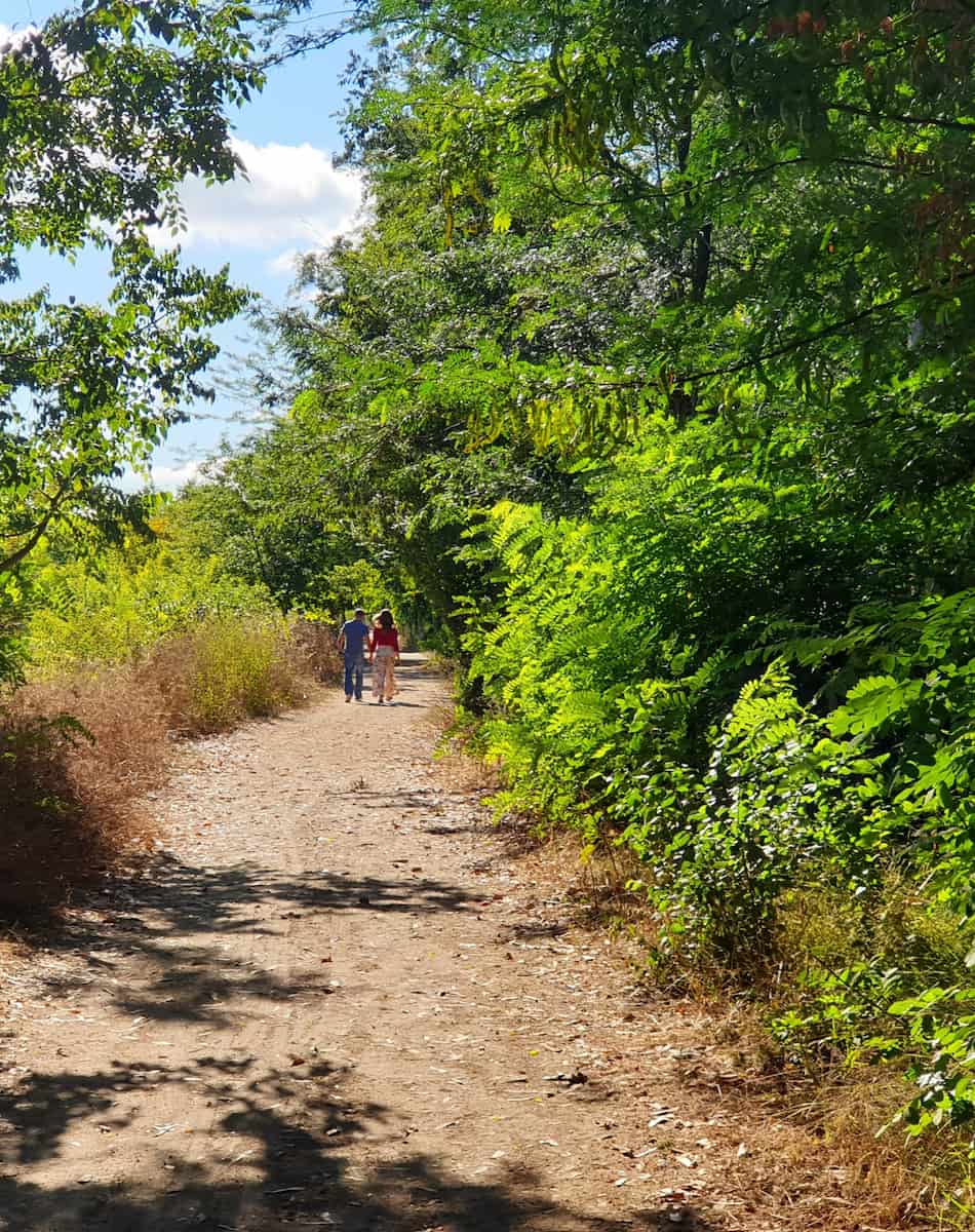 Mata do Choupal park, Portugal Mata do Choupal park, Portugal