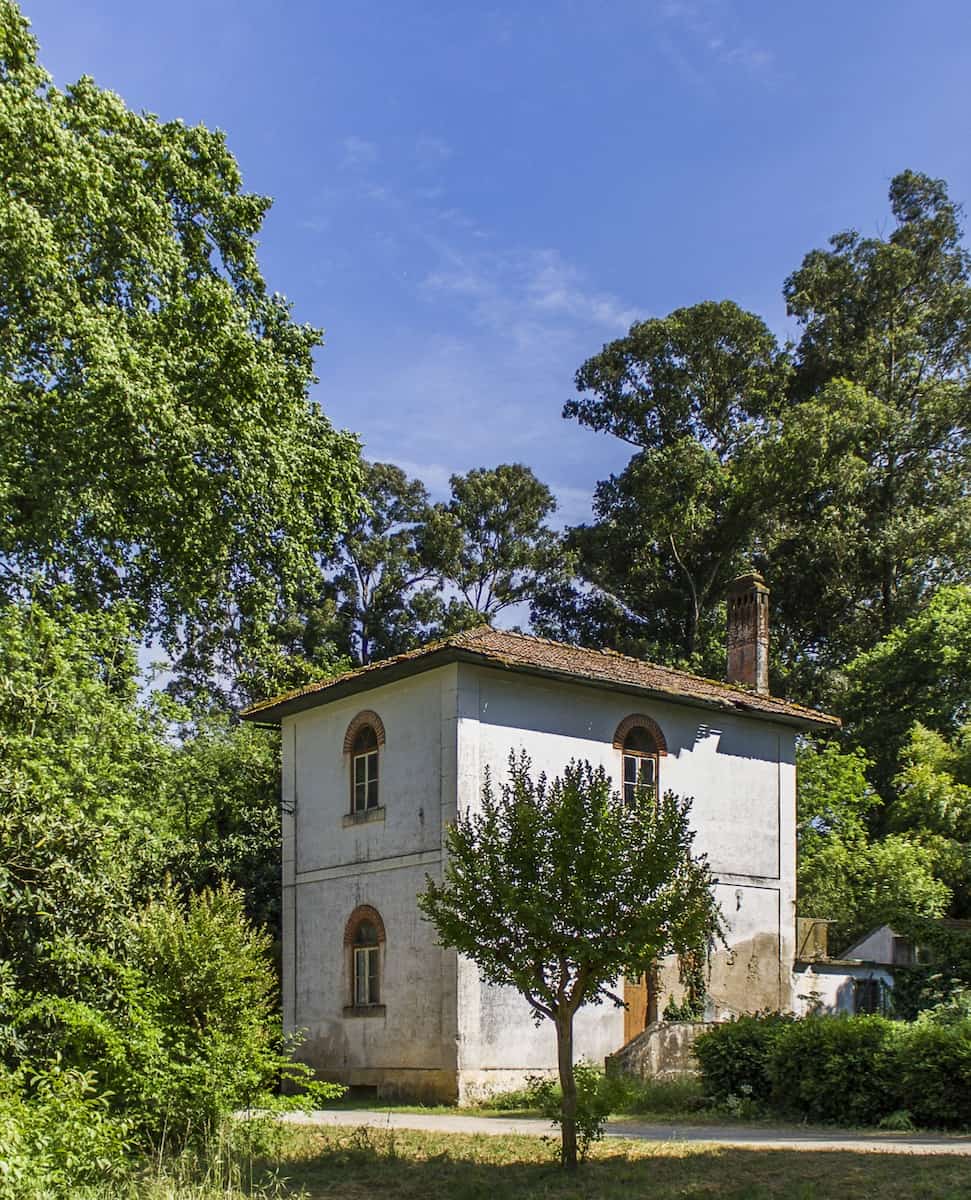 Mata do Choupal park, Portugal Mata do Choupal park, Portugal