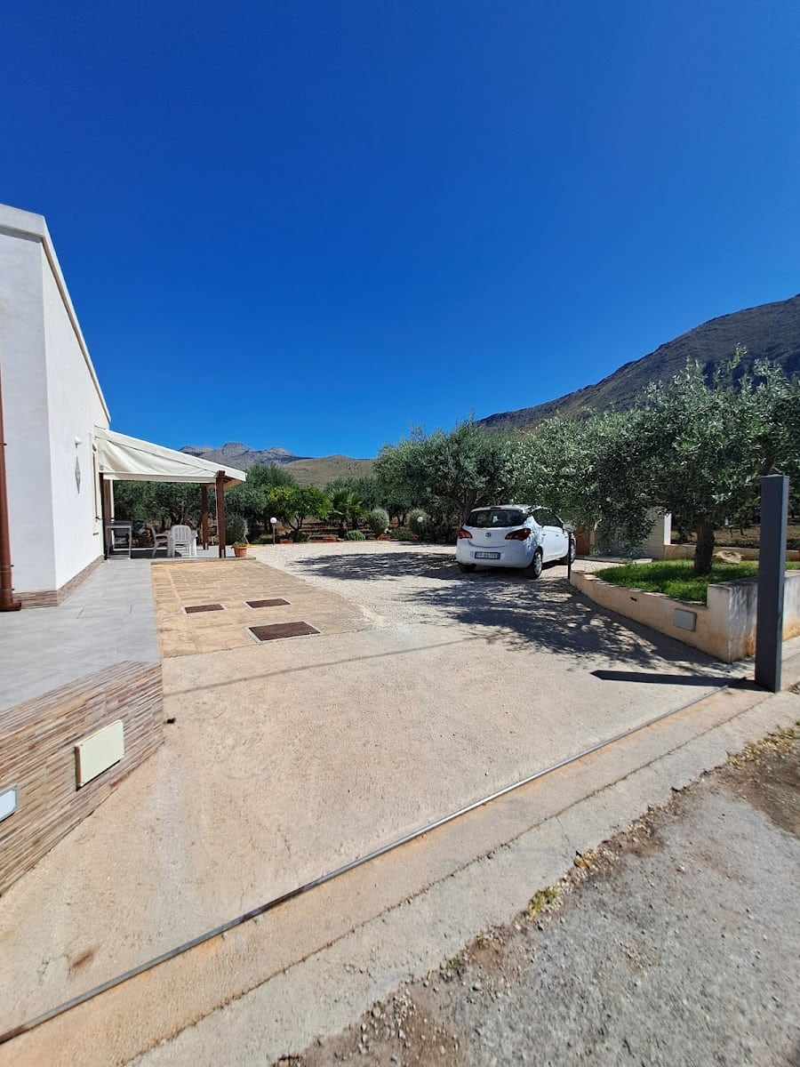 Olive Groves, San Vito Lo Capo Olive Groves, San Vito Lo Capo