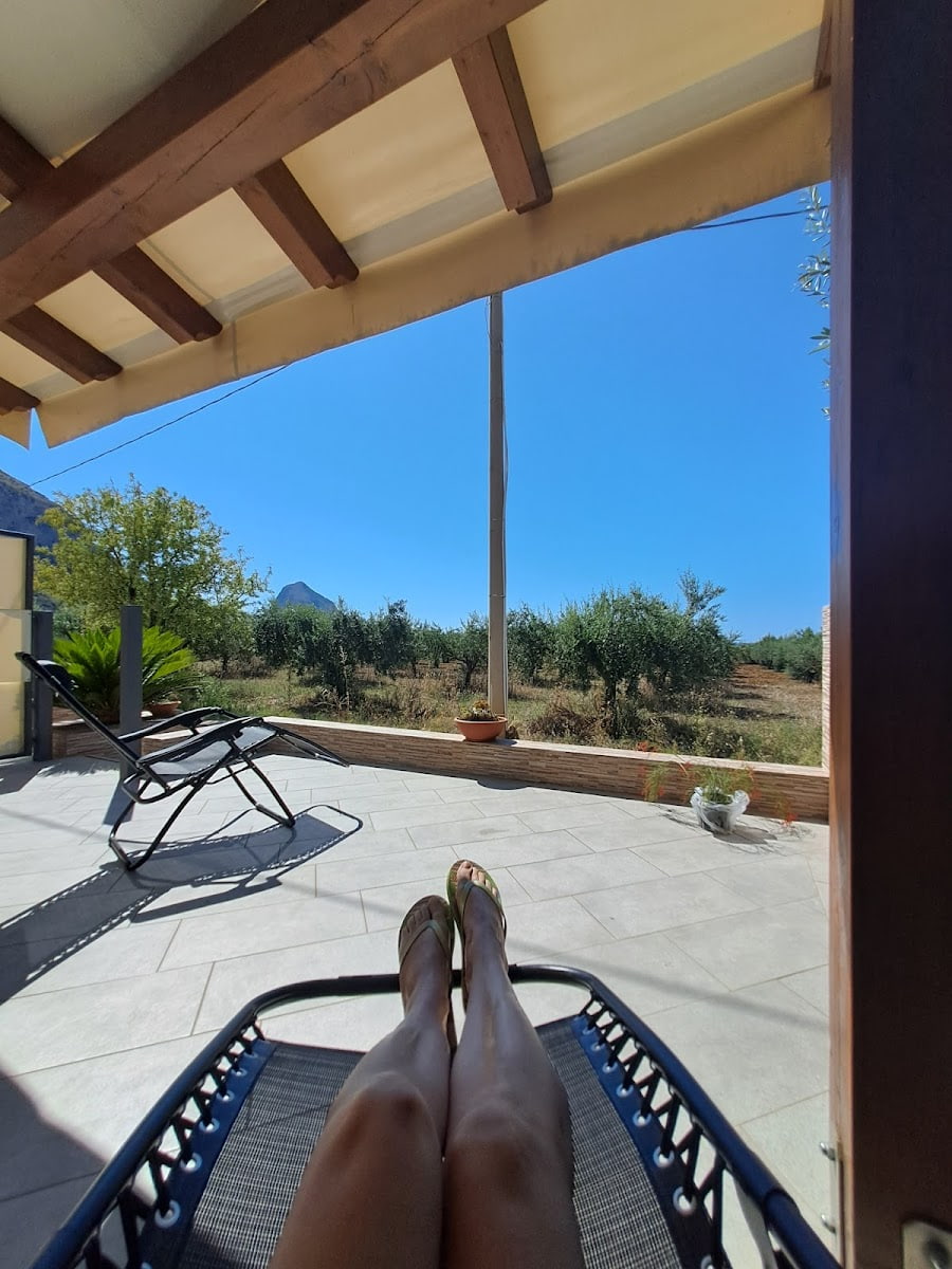 Olive Groves, San Vito Lo Capo Olive Groves, San Vito Lo Capo