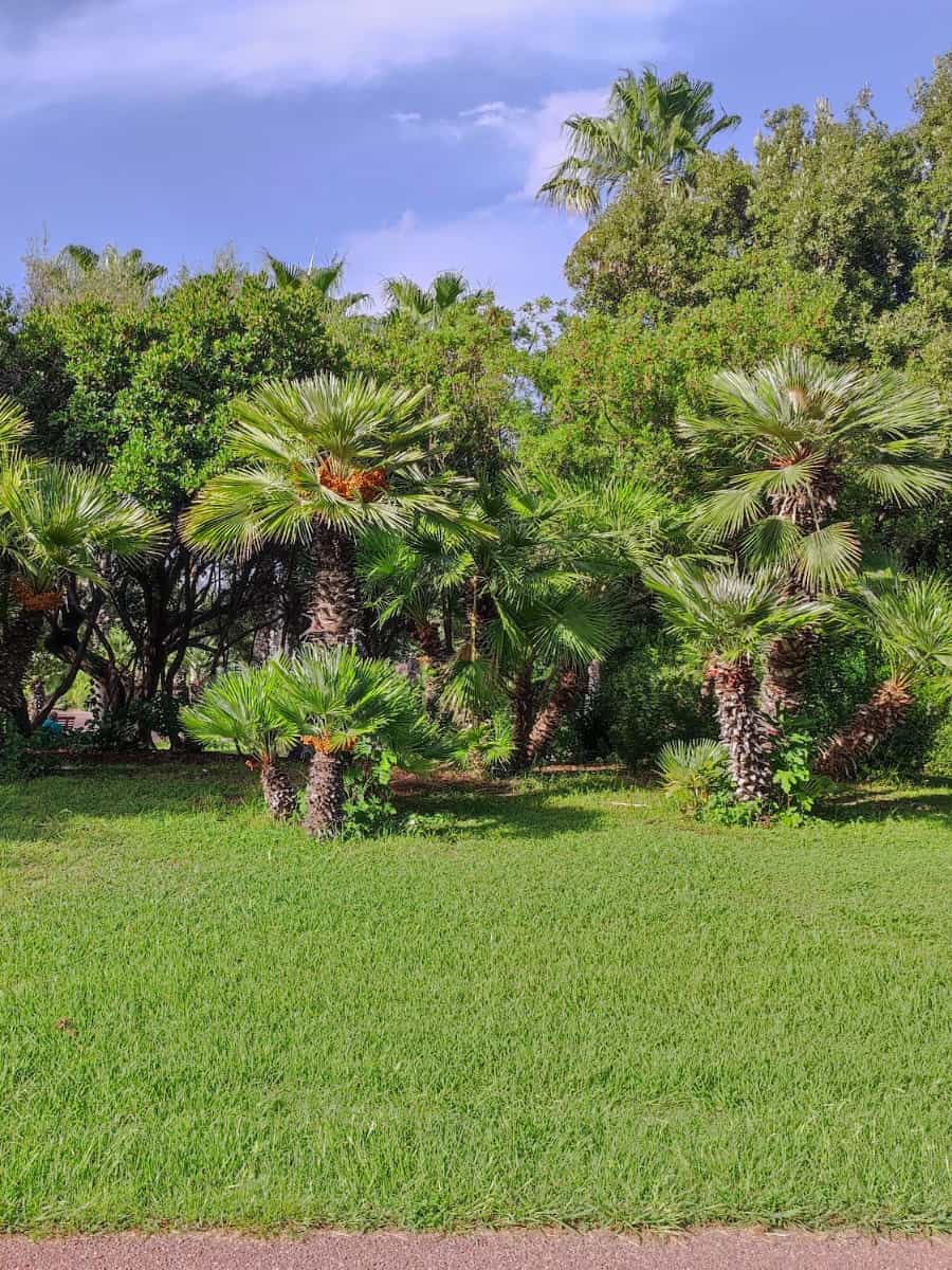 Parco Fausto Noce, Olbia Parco Fausto Noce, Olbia