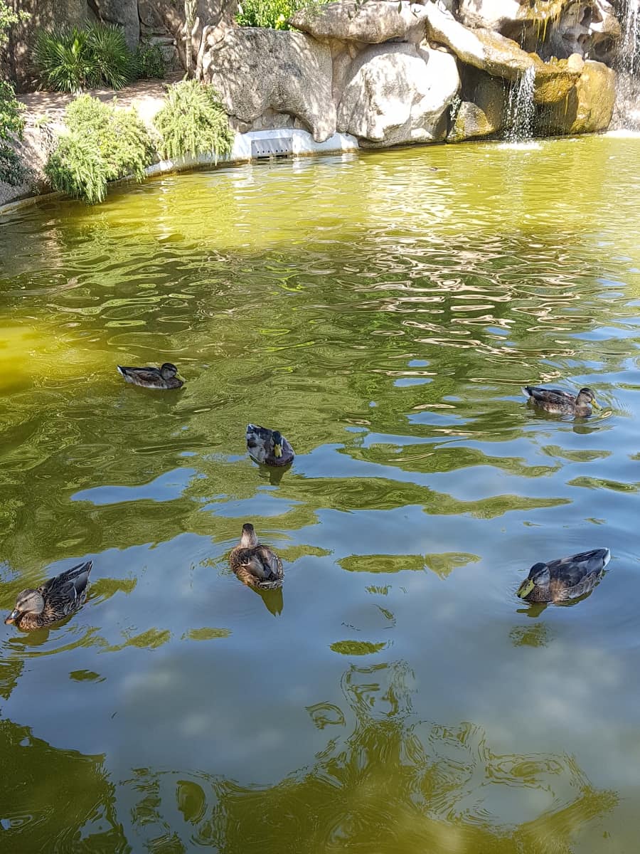 Parco Fausto Noce, Olbia Parco Fausto Noce, Olbia