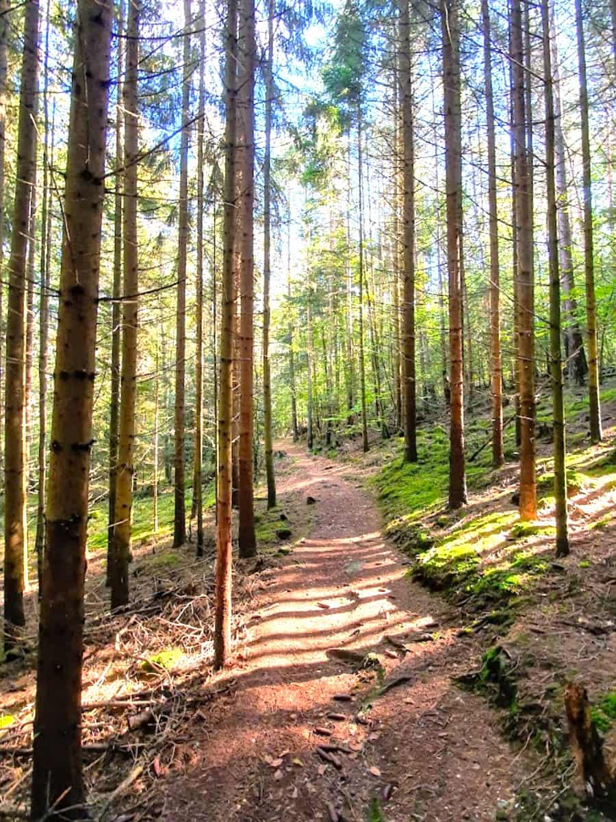 Roche du Tetras, Alsace