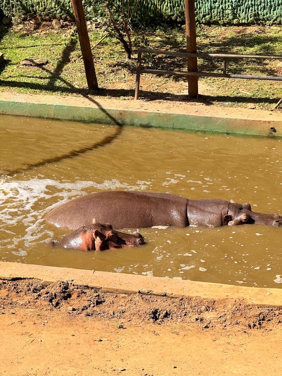 Salvador Zoo and Botanical Park, Salvador de Bahia Salvador Zoo and Botanical Park, Salvador de Bahia