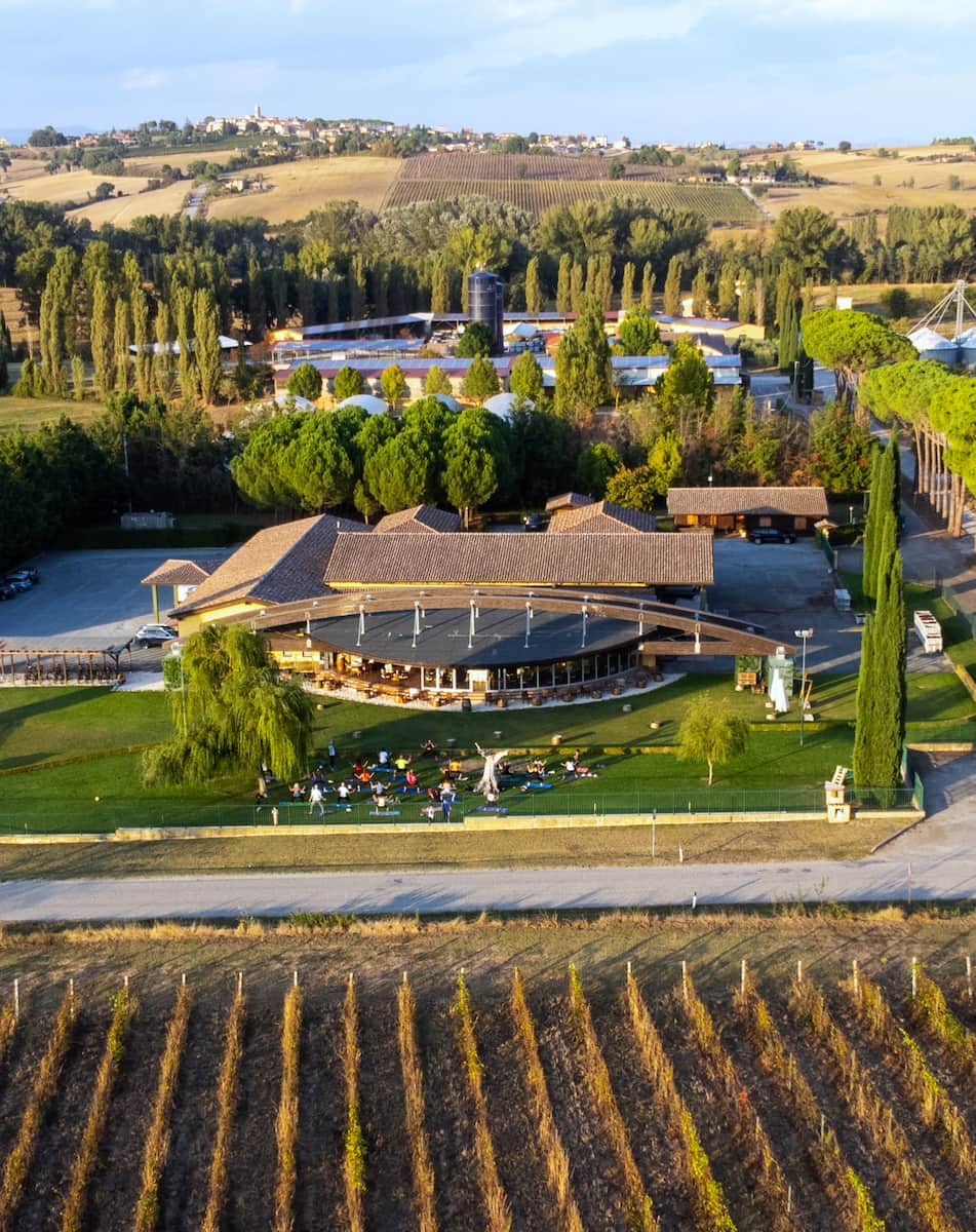 Vineyard, Perugia Vineyard, Perugia