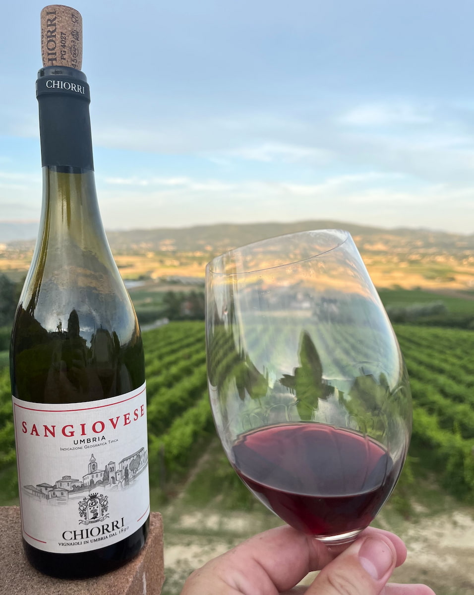 Vineyard, Perugia Vineyard, Perugia