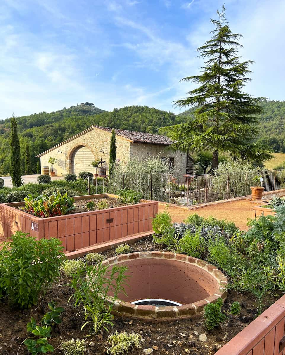 Vineyard, Perugia Vineyard, Perugia