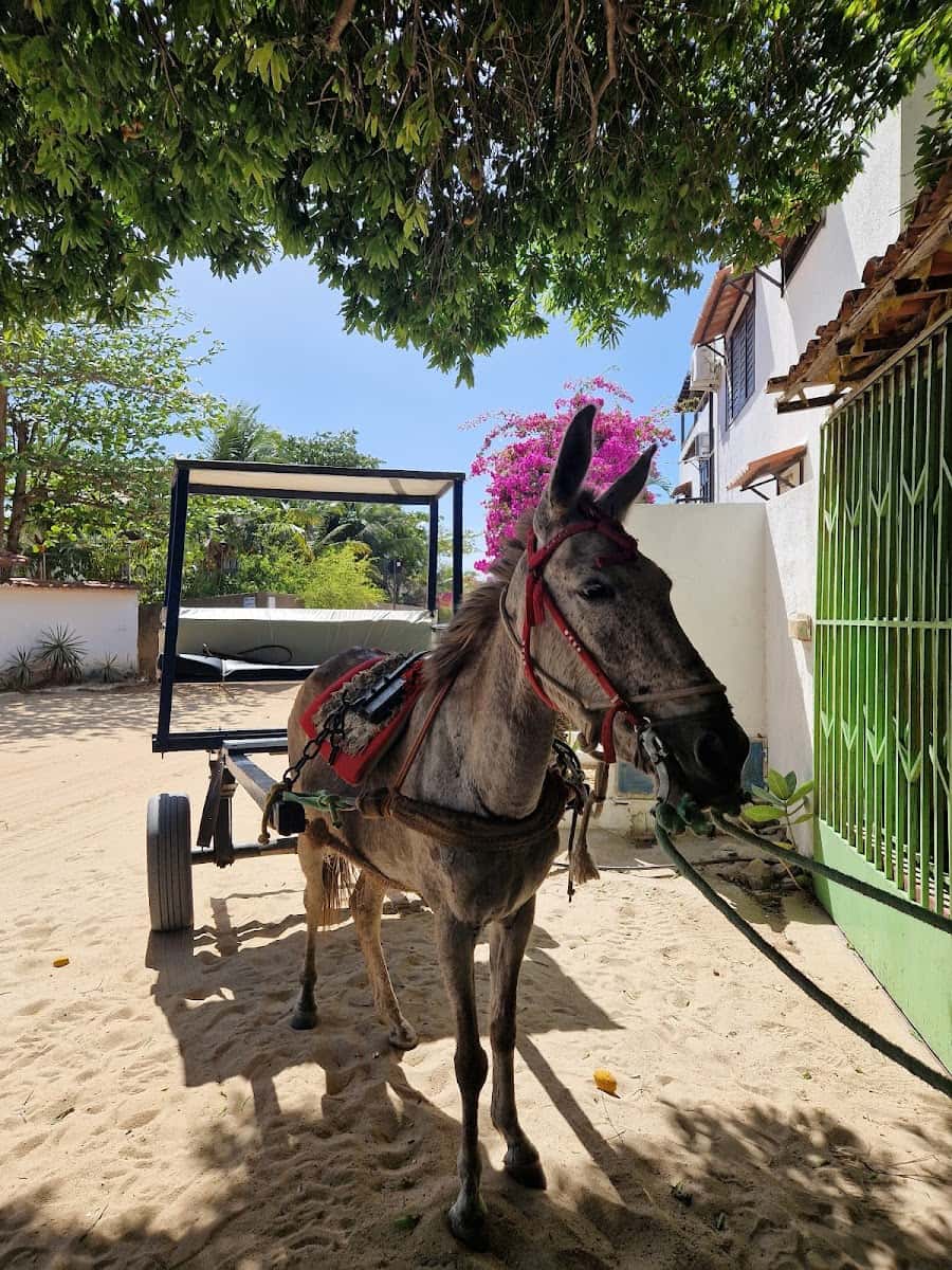 Central Village, Jericoacoara Central Village, Jericoacoara