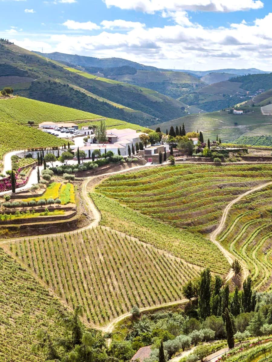 Quinta Quinta, Tavira Quinta Quinta, Tavira