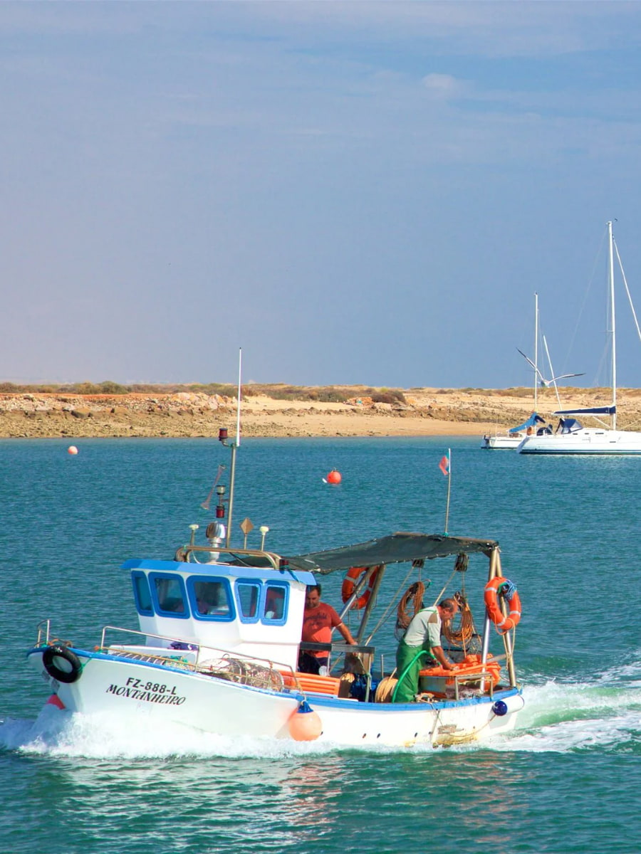 Ria Formosa Natural Park, Tavira Ria Formosa Natural Park, Tavira
